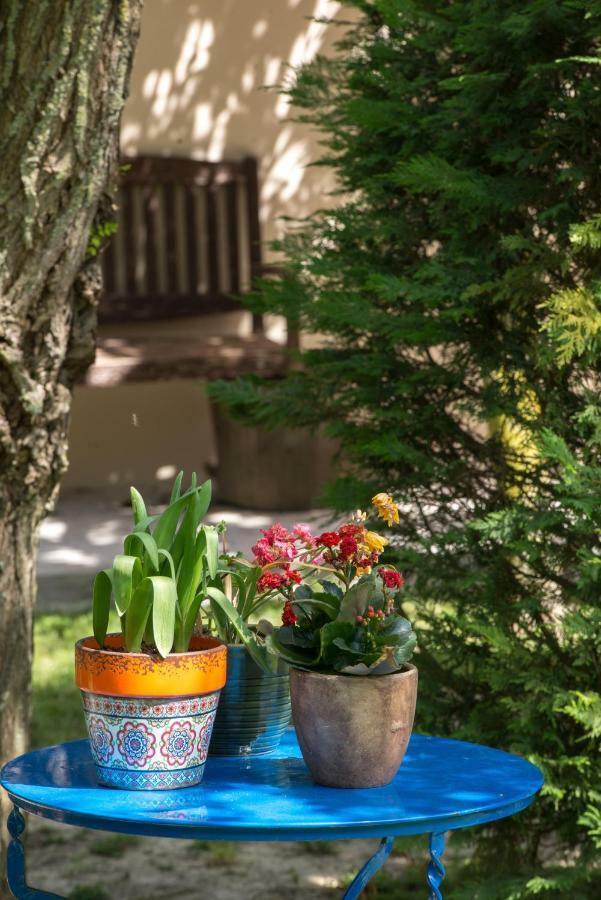 Willa Casa Giardino Laganas Zewnętrze zdjęcie